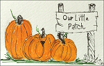 Our Little Patch (3 pumpkins)