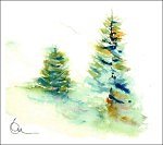 Fir Trees