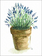 Pot of Lavender