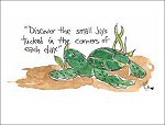 Turtle Wisdom