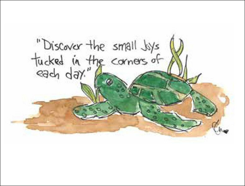 Turtle Wisdom