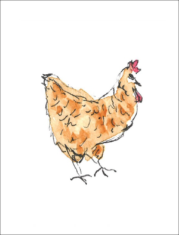 Hen